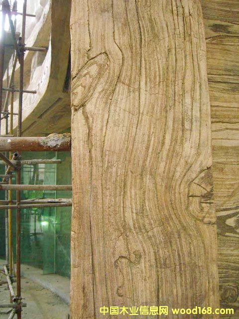 �c���鿴ˇ�g(sh��)��ľ�����Ŵ�DƬ