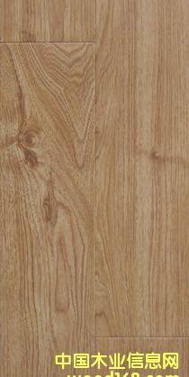 �����ذ��Ԕ��(x��)��B