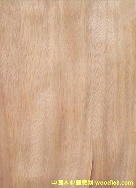 �W����(�һ�о)����