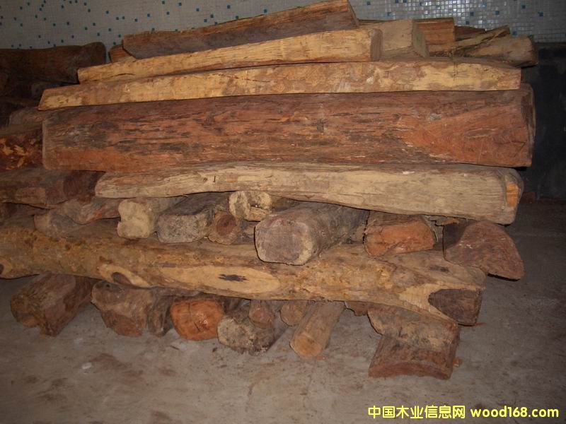 ԭľ��Ԕ����B