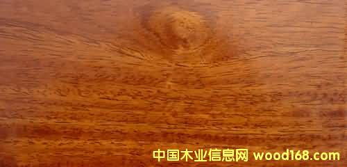 �ϓ뻨��ľ��Ԕ��(x��)��B