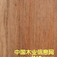 ��������̴(駲�)��Ԕ����B