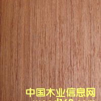 Ƽ�Ō�����Ƭ�~��ͩ��Ԕ����B