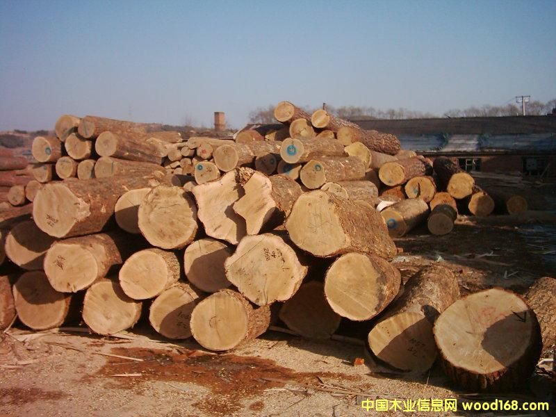 �c���鿴logs�Ŵ�DƬ