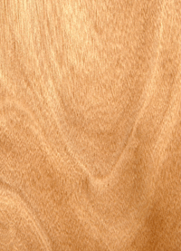 �W�������һ�о��