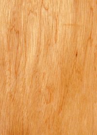 ���ǹ���Ԕ����B