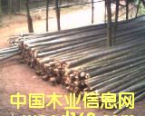 ���؛����Ԕ����B