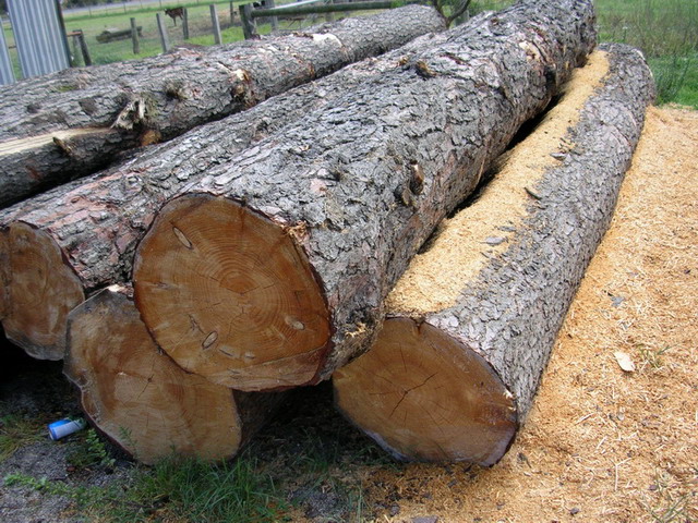 ����ԭʼ������1��Ԕ����B