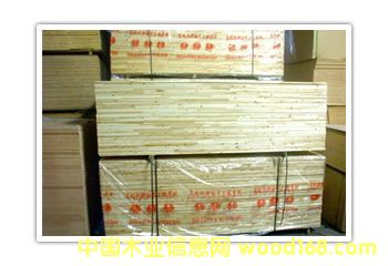 ��ɼľָ�Ӱ��Ԕ����B