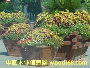 ���⹫����������