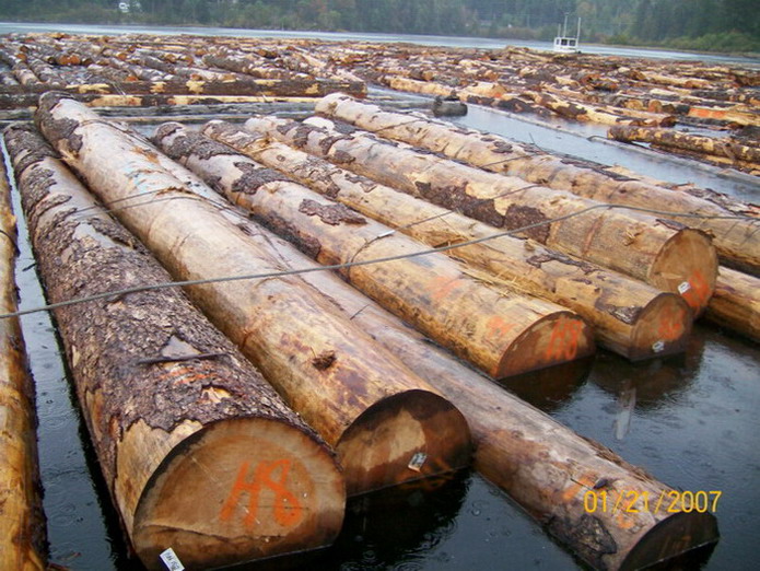 40cm up���ô��Fɼԭľ��Ԕ����B