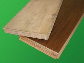 �c���鿴���ɲķŴ�DƬ