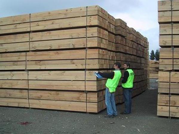 �c���鿴�����mݗ���ɰ�ķŴ�DƬ