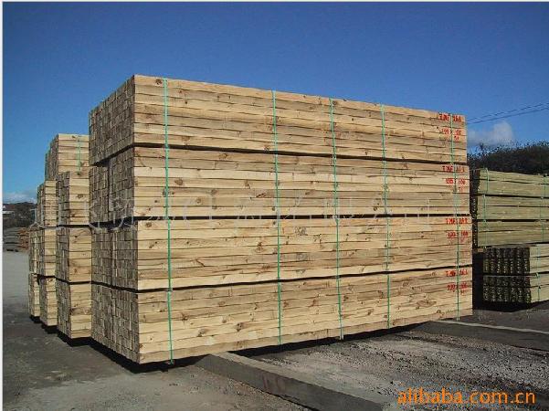 �c���鿴�����mݗ���ɰ��.�Ŵ�DƬ