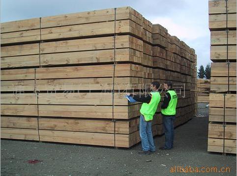 �c���鿴�����mݗ���ɰ�ķŴ�DƬ