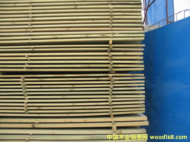 ����ľ��Ԕ����B