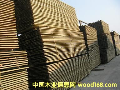 ����ľ��Ԕ����B