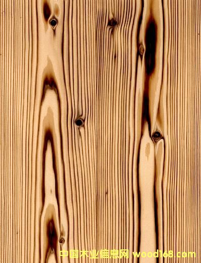 ����ľ��Ԕ����B