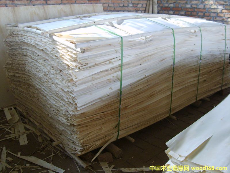 ��ľƤ��Ԕ����B