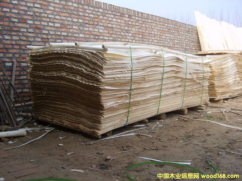 ��ľƤ��Ԕ����B