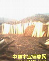 ���Ʒ��Ԕ����B