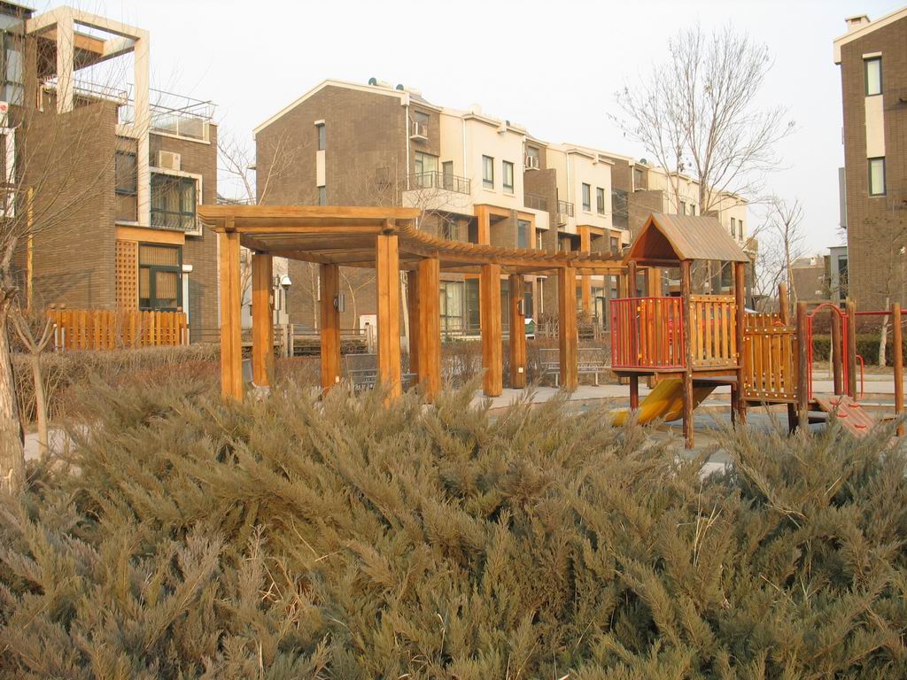 ����ľ��Ʒ