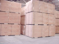 �߼���ľ�����z�ϰ��Ԕ��(x��)��B