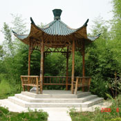 ��ͤ��Ԕ��(x��)��B