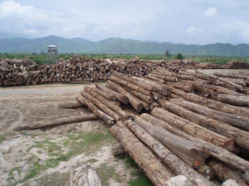 ��ľԭľ��Ԕ����B