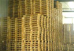 ľ����.ľ���Ԕ��(x��)��B