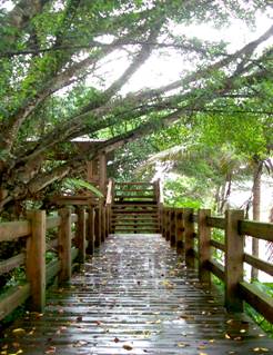 ľ�Y������