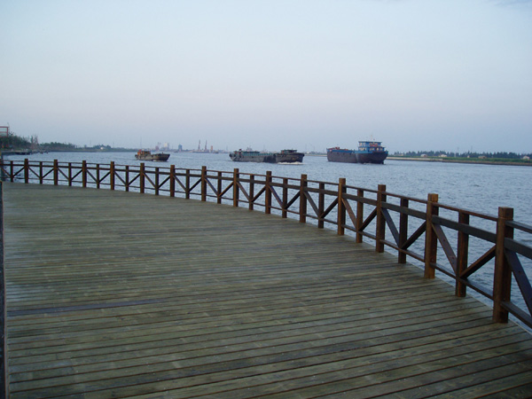 ����߅����ƽ�_