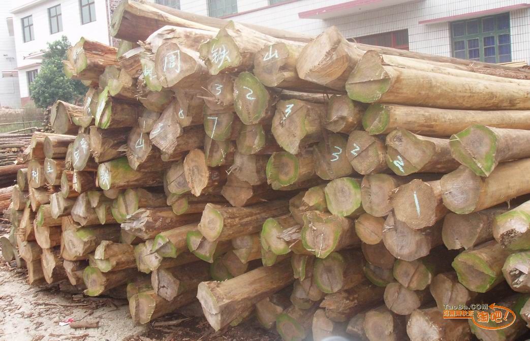 �c���鿴ɼľ�Ŵ�DƬ