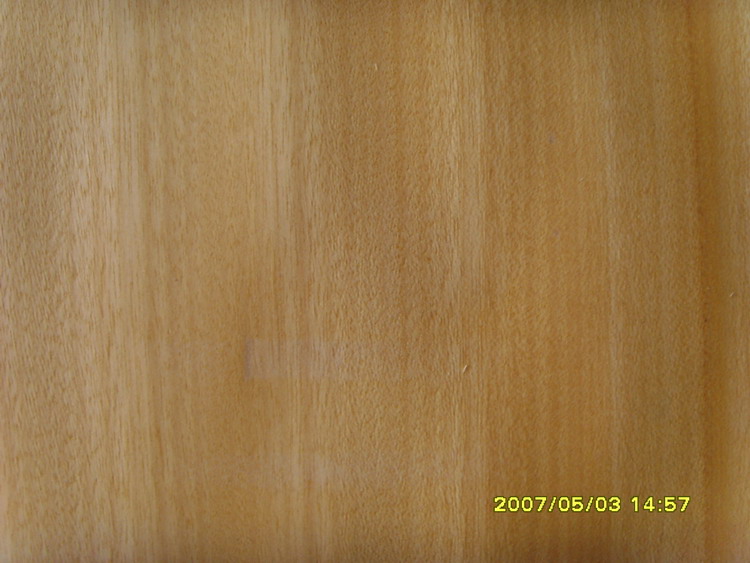 �S�����Ԕ����B