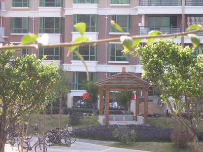 �@��ľˇ��Ԕ����B