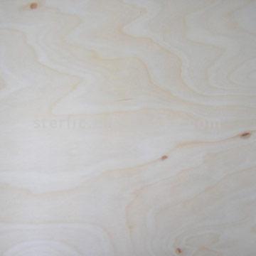 ���ľ����ľ�z�ϰ��Ԕ����B