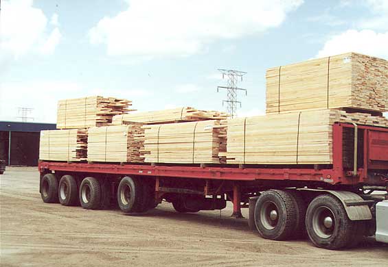 ����Ԕ��(x��)��B