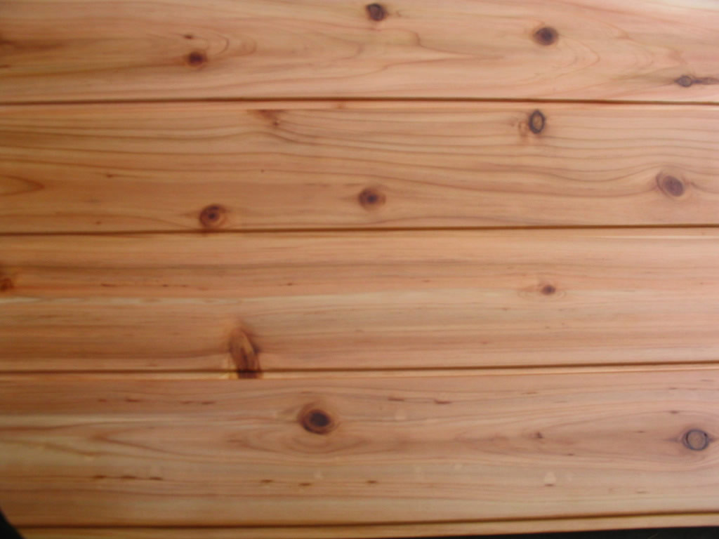 ���ڰ��Ԕ����B