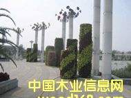 ���w���������w����