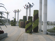 ���w���������w����