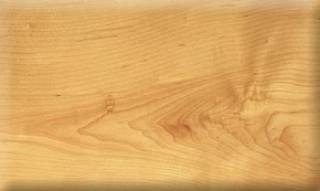 MAPLE��Ԕ��(x��)��B