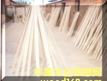 ���l��Ԕ����B