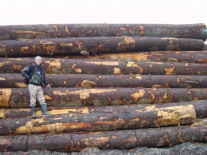 �Fɼԭľ��Ԕ����B