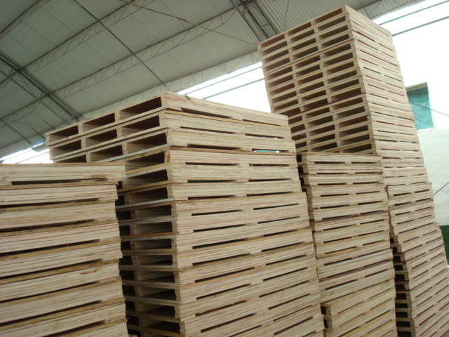 �бP��Ԕ����B