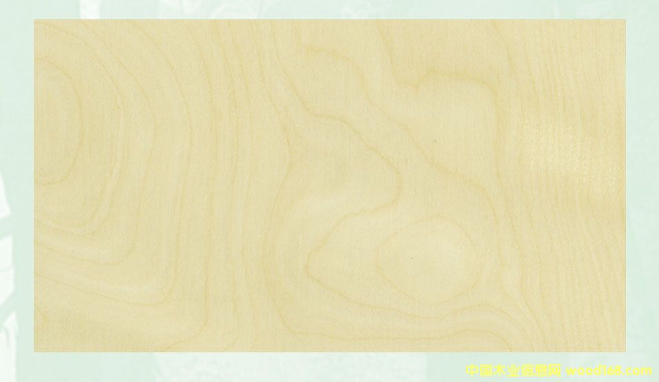 ��ľ�z�ϰ��Ԕ��(x��)��B