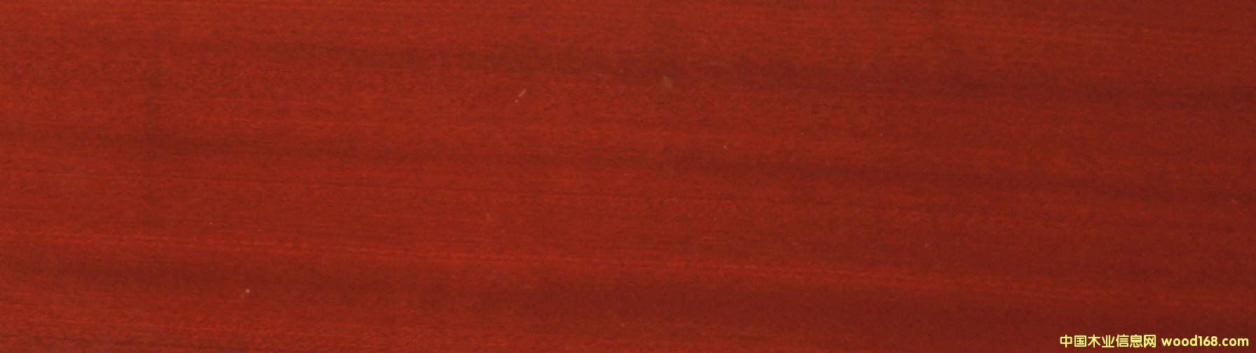 ɳ������(sh��)ľ��(f��)�ϵذ�