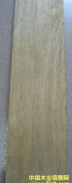 �S��̴(Kete)����