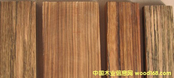 ܊����ľ(Mado)ľ��