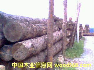 ������ԭľ���ľ����Ԕ����B