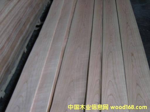 ��������ľƤ��Ԕ����B